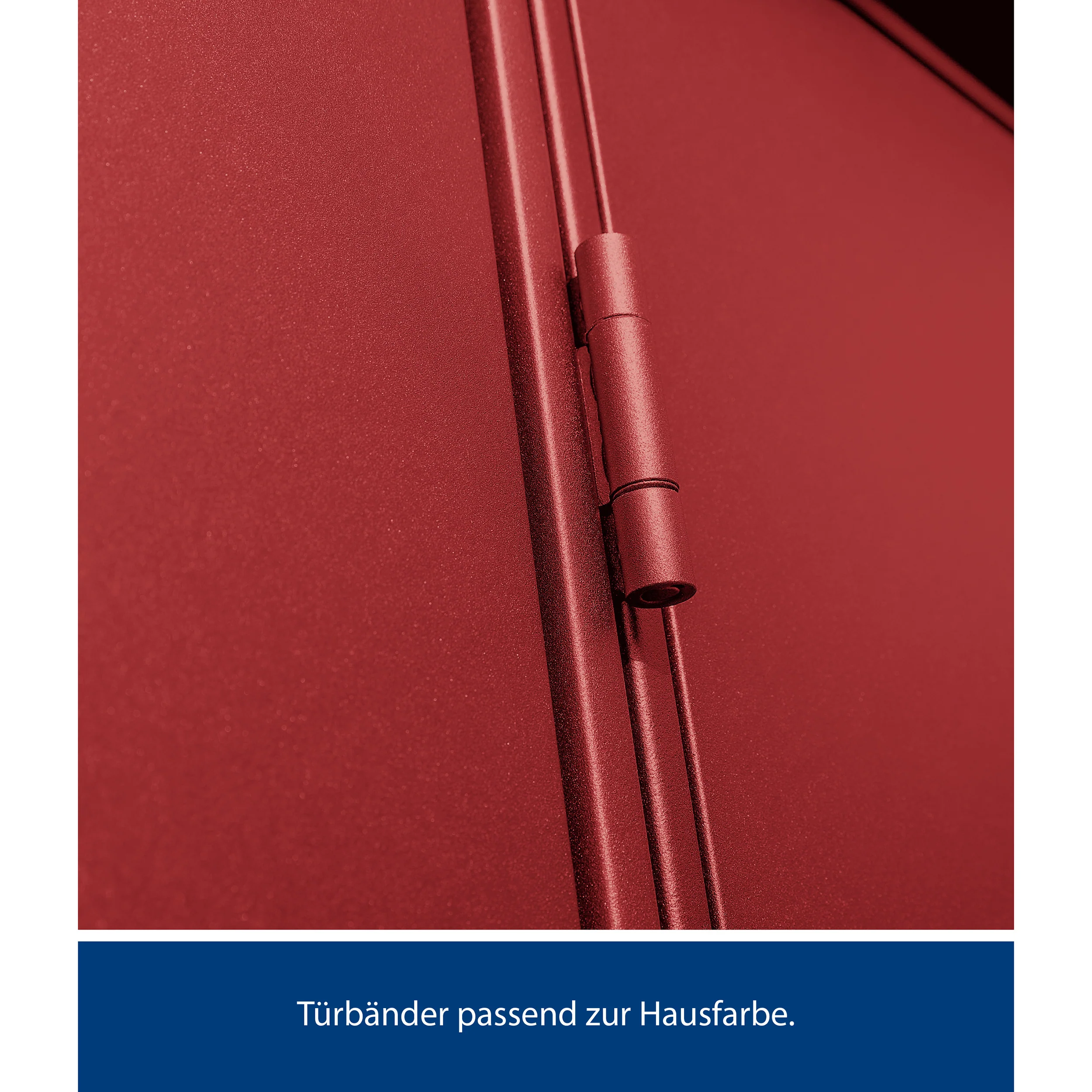 Miniaturebillede 11